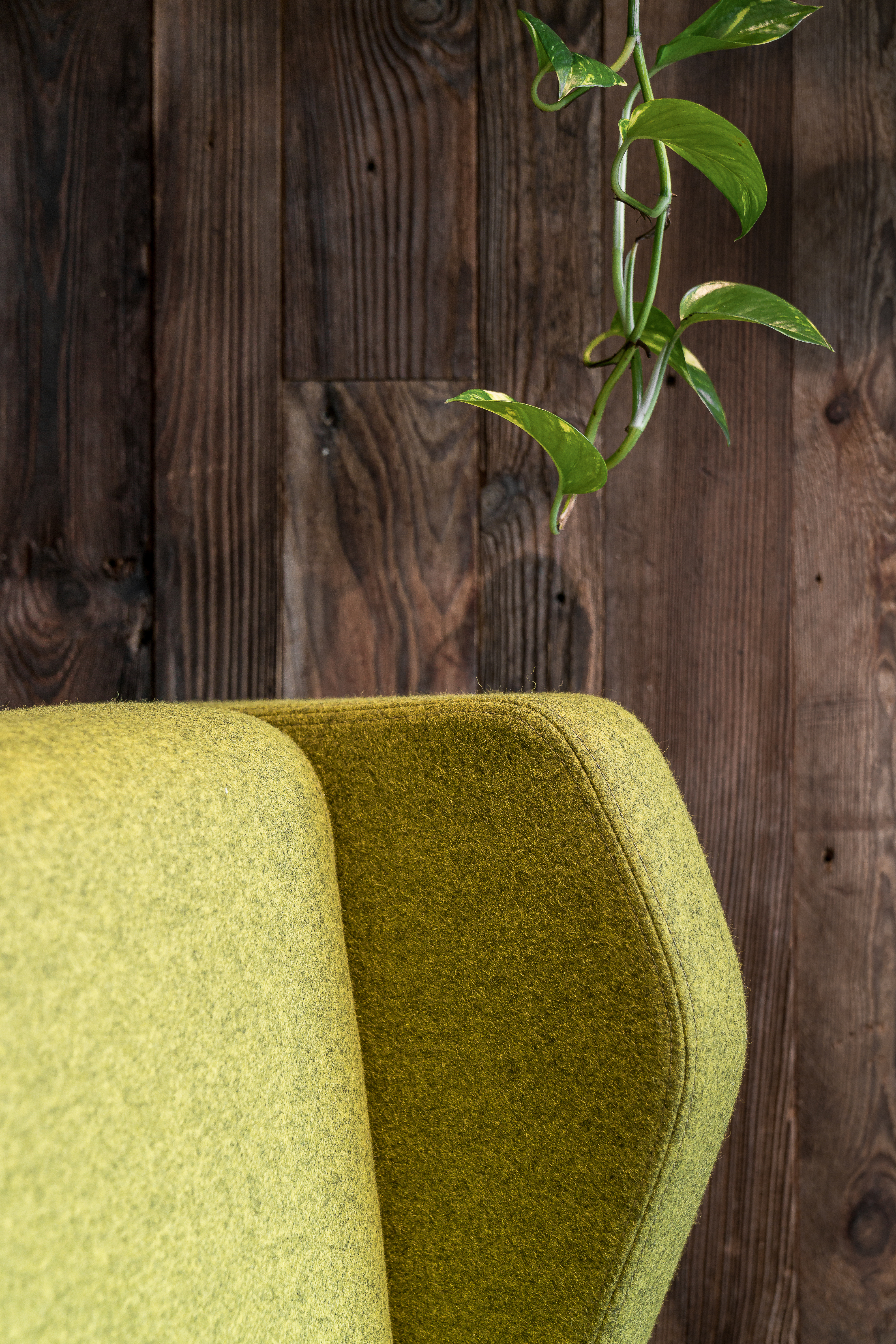 BRAIN EMBASSY, CZACKIEGO