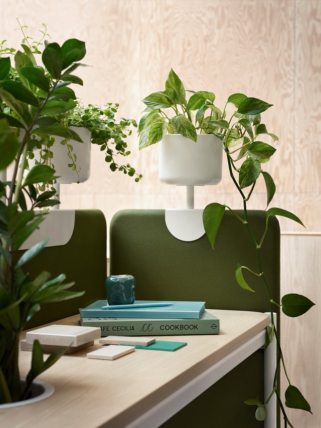 Plantea_Alle_screen_closeup2.jpg