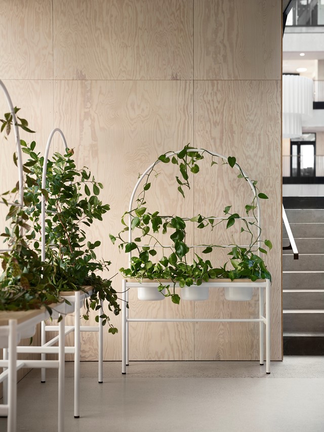 Plantea_plantdivider_with_trellis.jpg